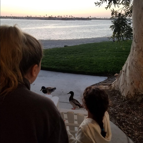 Meet the Posher, Marina M.💕Posh Ambassador💕 - Picture 4 of 8